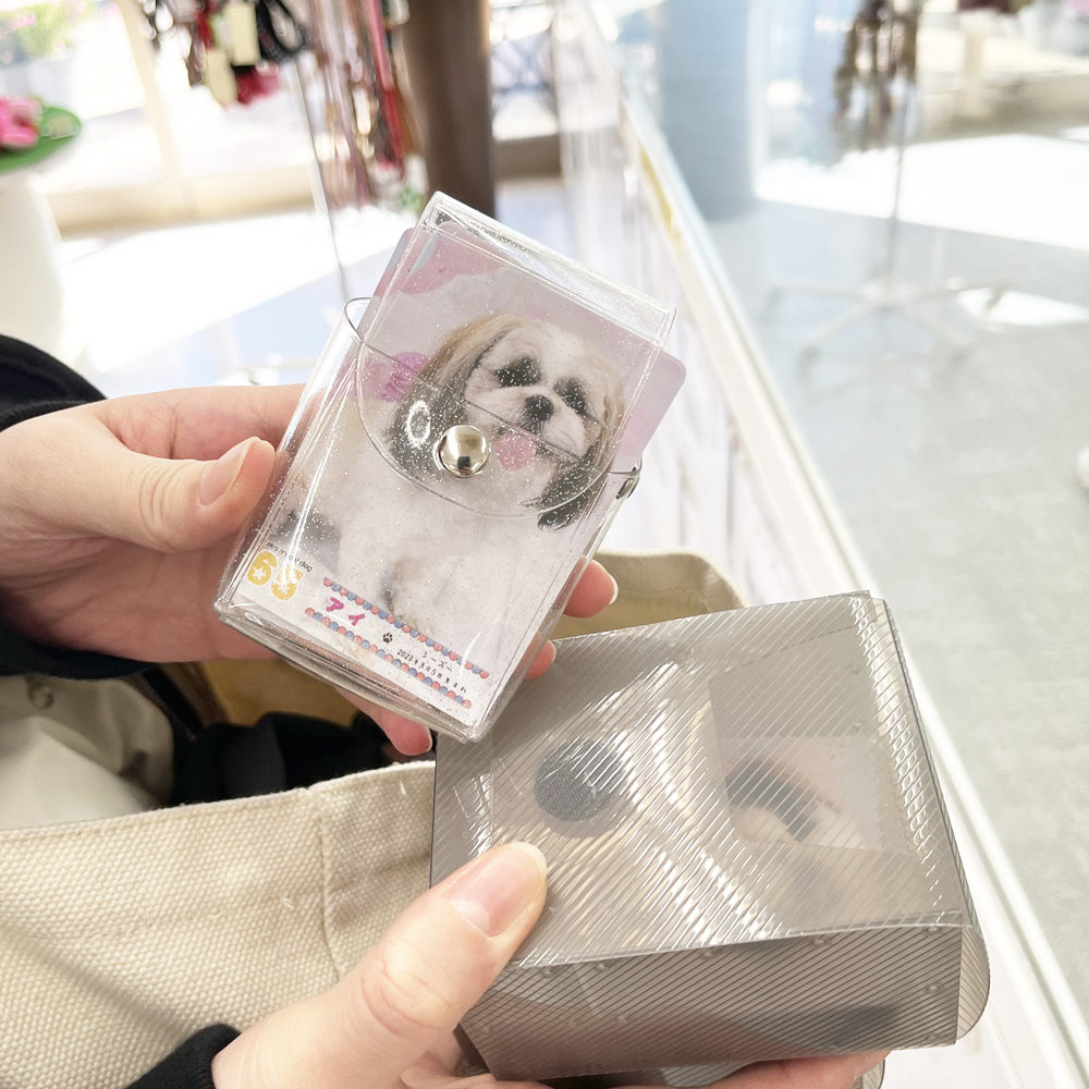 モデル犬のトレーディングカード♪